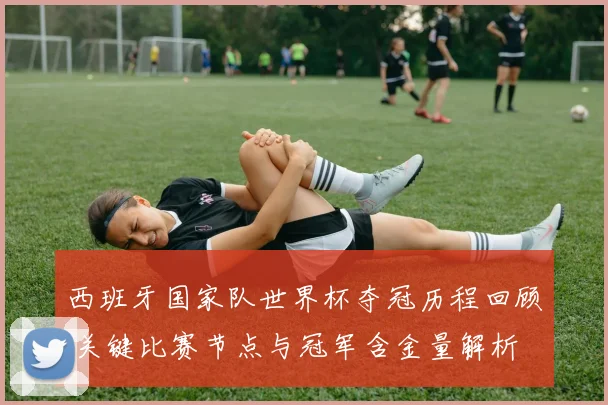 西班牙国家队世界杯夺冠历程回顾 关键比赛节点与冠军含金量解析
