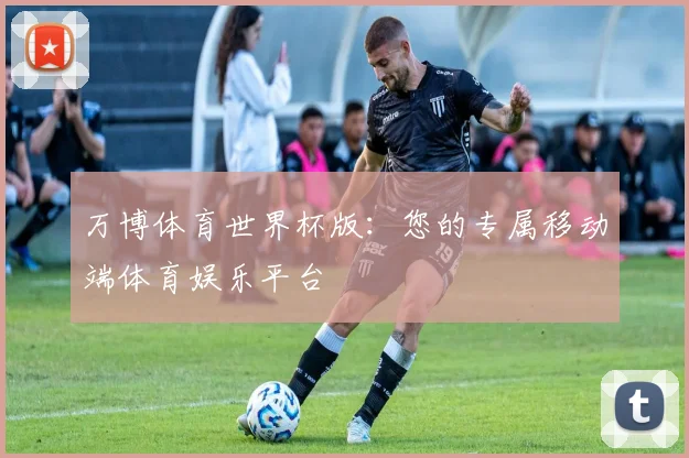 万博体育世界杯版:您的专属移动端体育娱乐平台