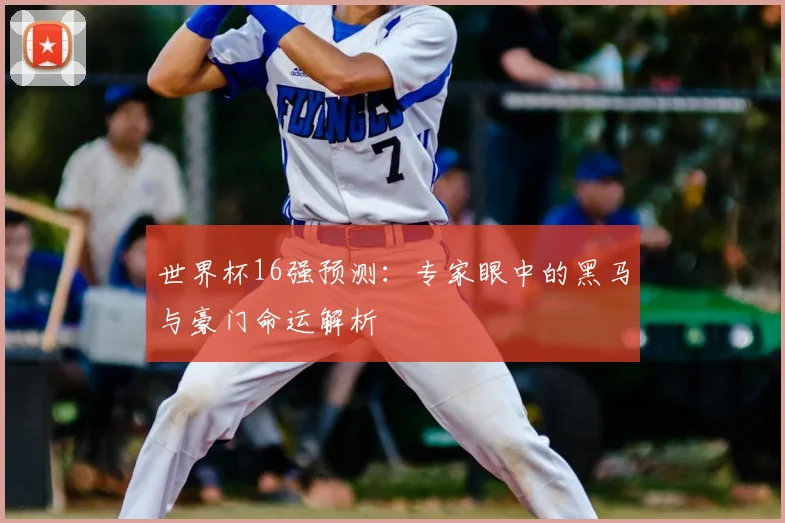 世界杯16强预测：专家眼中的黑马与豪门命运解析