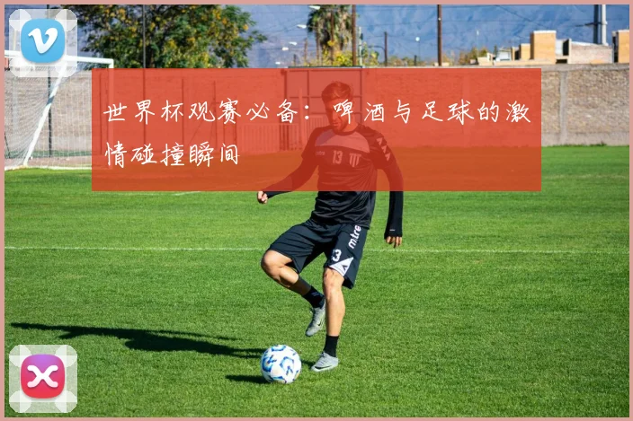 世界杯观赛必备：啤酒与足球的激情碰撞瞬间