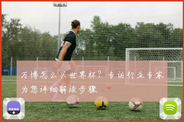 万博怎么买世界杯？专访行业专家为您详细解读步骤