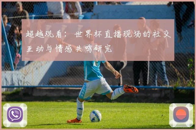 超越观看：世界杯直播现场的社交互动与情感共鸣研究