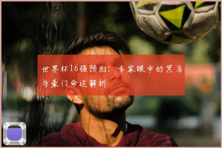 世界杯16强预测：专家眼中的黑马与豪门命运解析