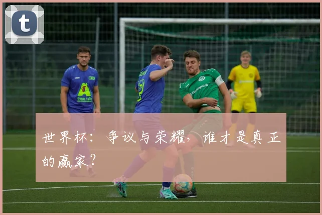 世界杯：争议与荣耀，谁才是真正的赢家？