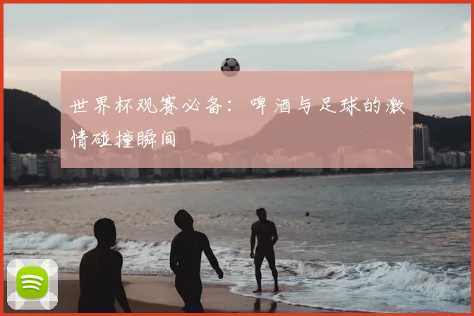 世界杯观赛必备：啤酒与足球的激情碰撞瞬间