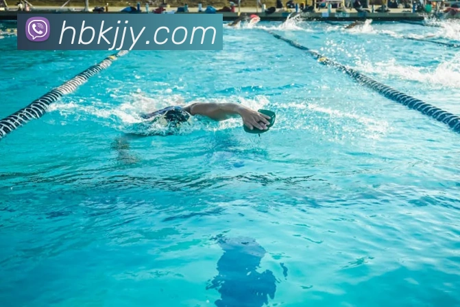 米兰体育官网登陆平台生态图